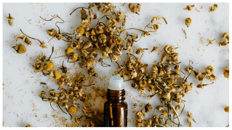 The Best Organic Oils in the UK for Your Wellness Routine