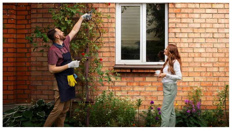 Professional Siding Contractors in Brookline MA