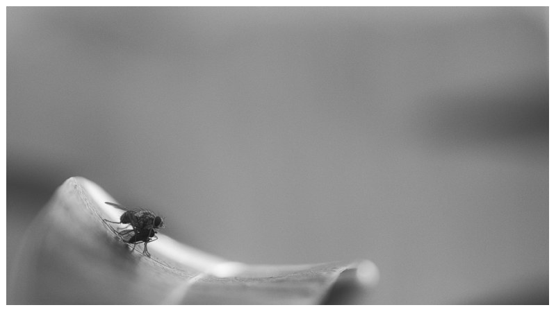 Innovations in Pest Control Science and Technology