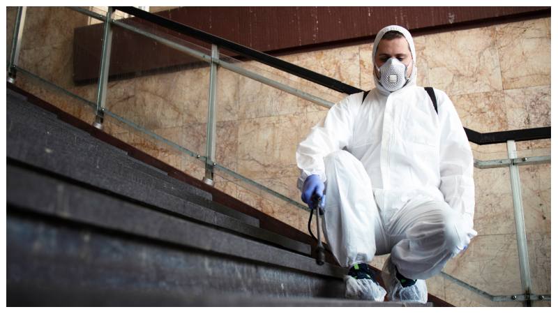 Why Your Crawl Space is the Secret Source of Mold (and How to Fix It)