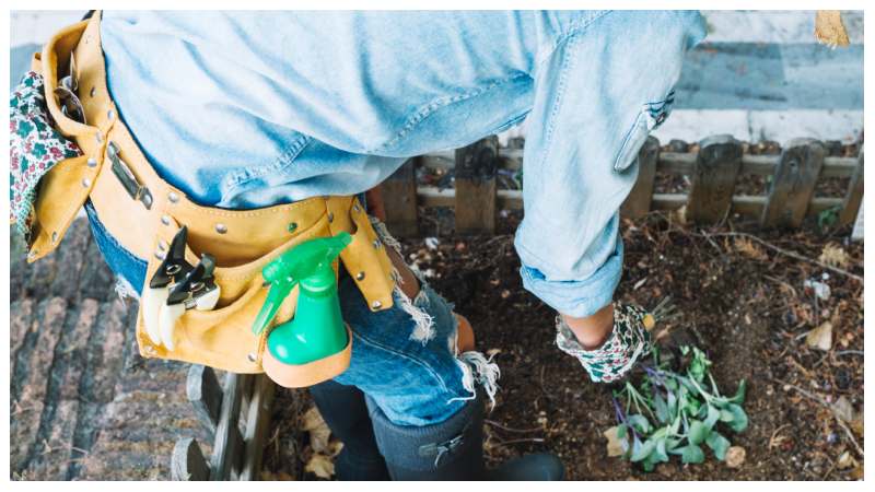 Blocked Drains in Watford: A Complete Guide to Professional