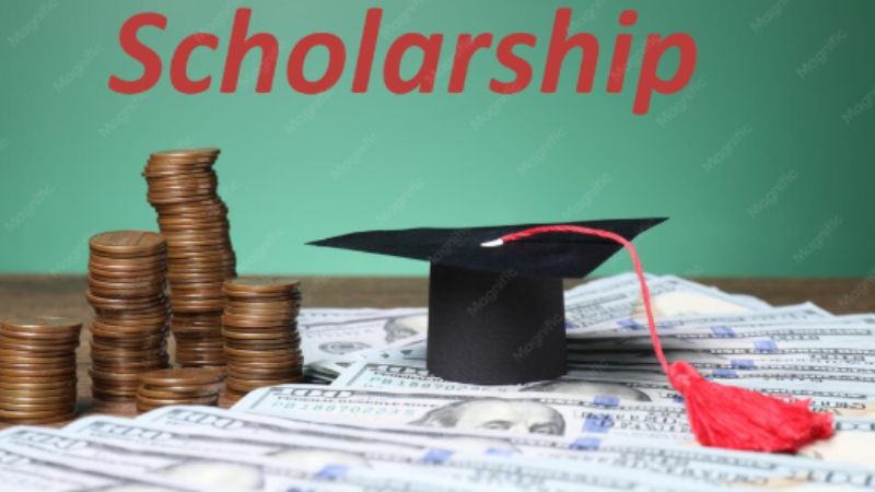 Private Scholarships vs Public Grants